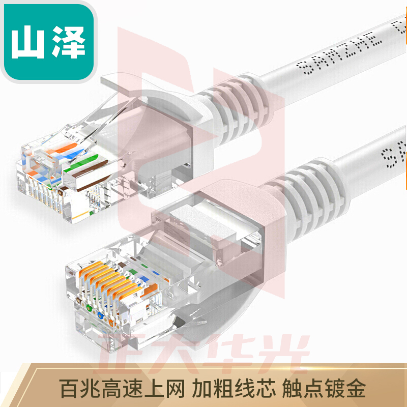 山泽（SAMZHE）ZW-03高速超五类网线3米(贝吉色） CAT5e类高速百兆 连接跳线