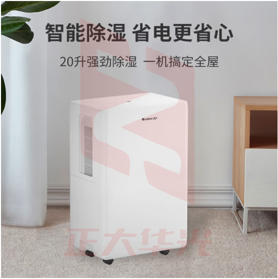 格力（GREE）DH20EOA2A除湿机/抽湿机除湿量20升/天家用轻音地下室干衣除湿器 20-40㎡适用