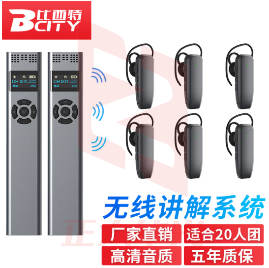 比西特919R无线讲解耳麦一对多政企接待会议讲解器一键关机导游带团电子解说器 双讲+20人听团套装