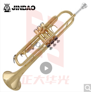 津宝 JBTR-300小号乐器降B调儿童初学学生演奏考级漆金西洋吹管乐器