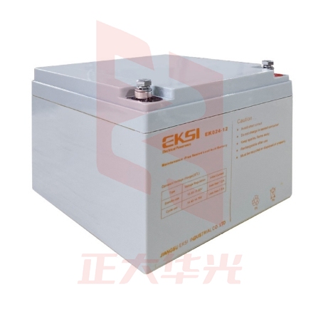 爱克赛12V24AH胶体免维护蓄电池（国产）