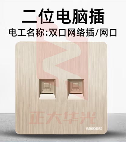 视贝（SEEBEST）二位电脑插座 开关面板高端拉丝金大板香槟金系列