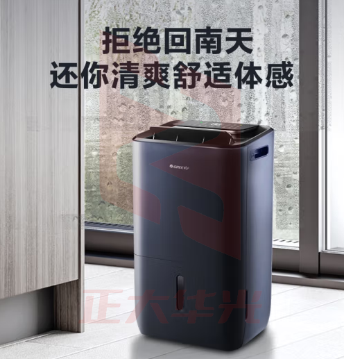格力（GREE）抽湿机/除湿机 家用卧室办公室干衣净化除湿器 25升/天 适用70平方米以内 智能数控(DH25EPA1B)