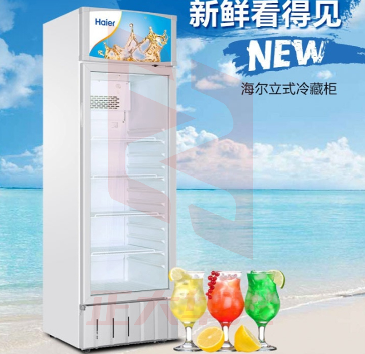 海尔 SC-300 立式单门展示冷柜 276L