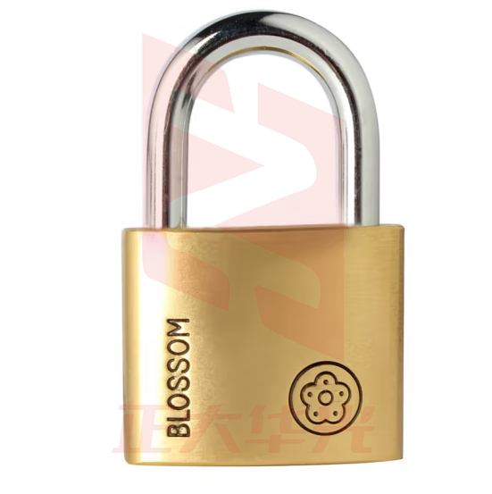 梅花（BLOSSOM）铜挂锁 自动门锁60MM 防水防锈仓库学校大铁门锁9060