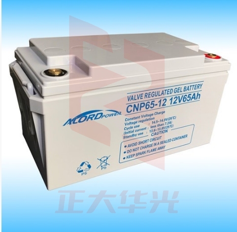 安洛达 CNP12V-65AH 不间断电源 电池