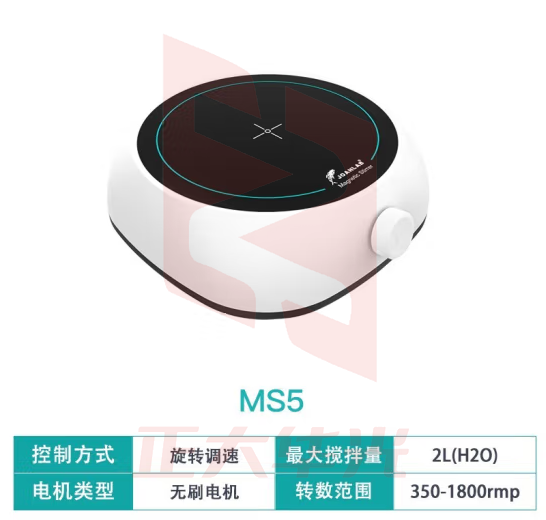 群安仪器 JOANLAB 数显加热恒温磁力搅拌器实验室控温迷你电磁搅拌器电动搅拌机小型 MS5（2L）