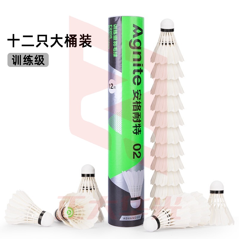 得力（deli）羽毛球比赛训练耐打鹅毛羽毛球 F2209 12只/筒