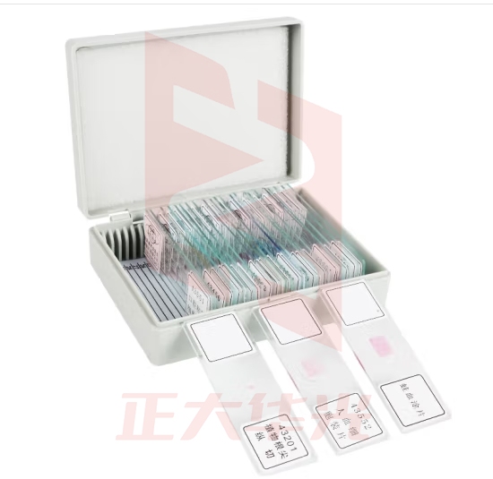 六鑫 生物切片 各类动物植物细胞切片字母“e”显微镜用生物实验器材教学仪器 生物切片套装 生物切片【25片装】