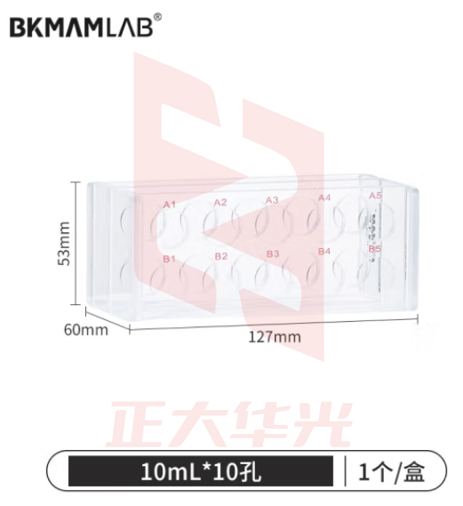 比克曼生物（BKMAM）有机玻璃采血管架采样管架亚克力生化管架血常规管架 10ml 10孔 1个