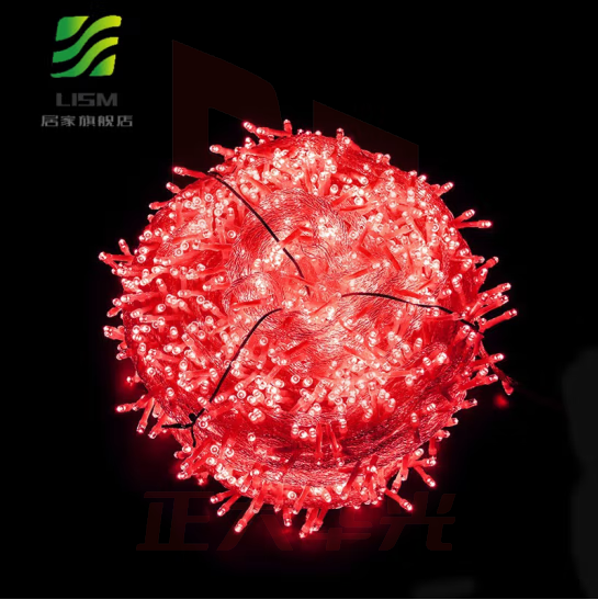 LISM 新年装饰彩灯串led小彩灯闪灯串灯户外春节过年装饰树灯婚 红色 30米300灯插电款