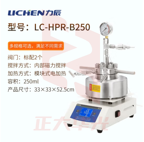 力辰科技（lichen）磁力搅拌高压反应釜 实验室不锈钢电动机械搅拌反应釜 LC-HPR-B250