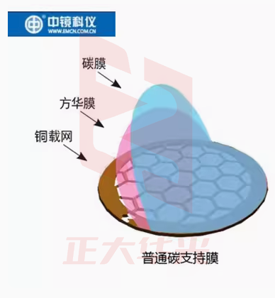 中镜科仪 国产铜网普通碳膜 透射电镜载网支持膜 400目/100枚 BZ11024a