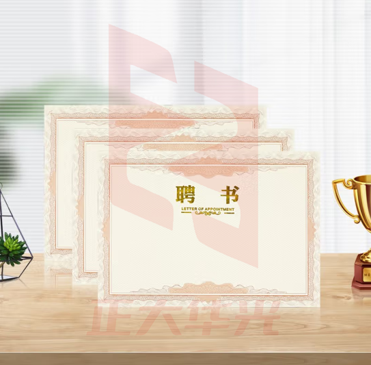 得印(befon) 12k聘书内芯内页12张  任命书证书奖状内页 公司企业聘用证书 可打印a4纸张内芯 2497
