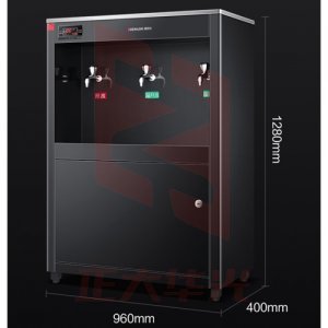 德玛仕 DEMASHI SRZ-30/SRZ-3L-L10 直饮水机 商用学校烧水机 学校用开水器 商用净水器 两开一冰