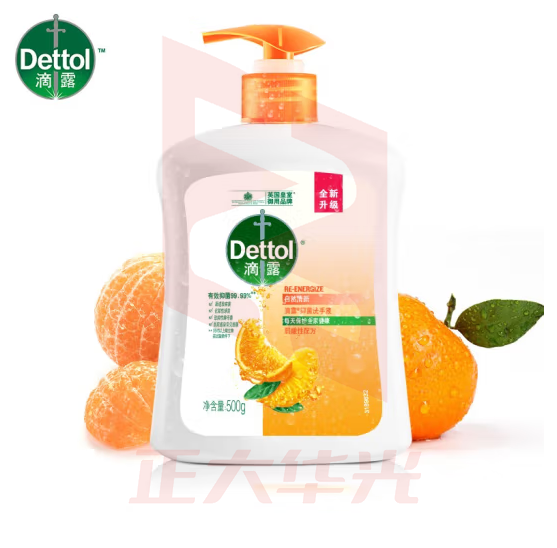 滴露（Dettol）健康抑菌洗手液柑橘500g瓶 消毒抑菌