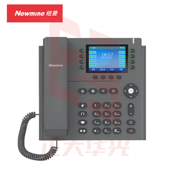 纽曼(Newmine)IP电话机 商务办公座机 POE供电 六方会议 3.5英寸彩屏 HL2008TSD-618（R）