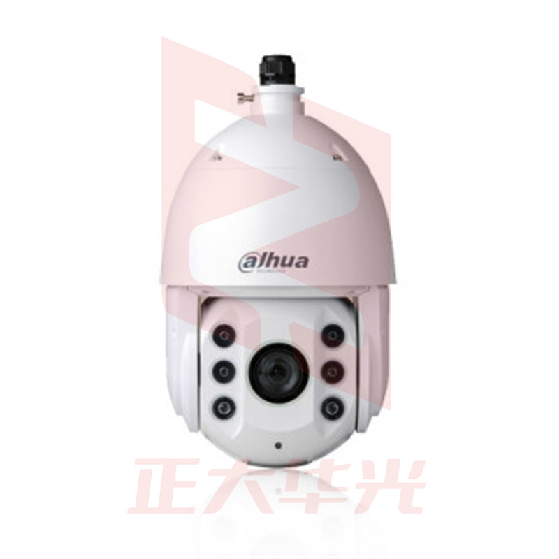 大华 DH-SD6C84E-GN 400万30倍变焦H265 网络球机