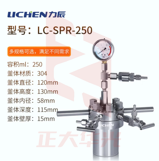 力辰科技（lichen）不锈钢简易高压反应釜实验室耐高温抗高氧台式微型反应釜 LC-SPR-250