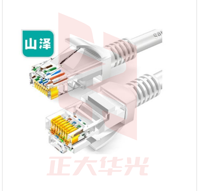 山泽 超五类网线 CAT5e类告诉百兆网线 1米 ZW-01