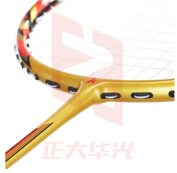 川崎KAWASAKI全碳素羽毛球拍对拍双拍训练成人耐用型羽毛球套装f100（已穿线）