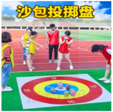 趣味运动 沙包投掷盘 (2*2靶盘+10沙包)  XTGM1102091600217