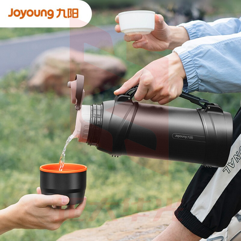 九阳(Joyoung) 保温壶 304不锈钢2.0L黑色 B20F-WR575  (XTGM202308111517494)