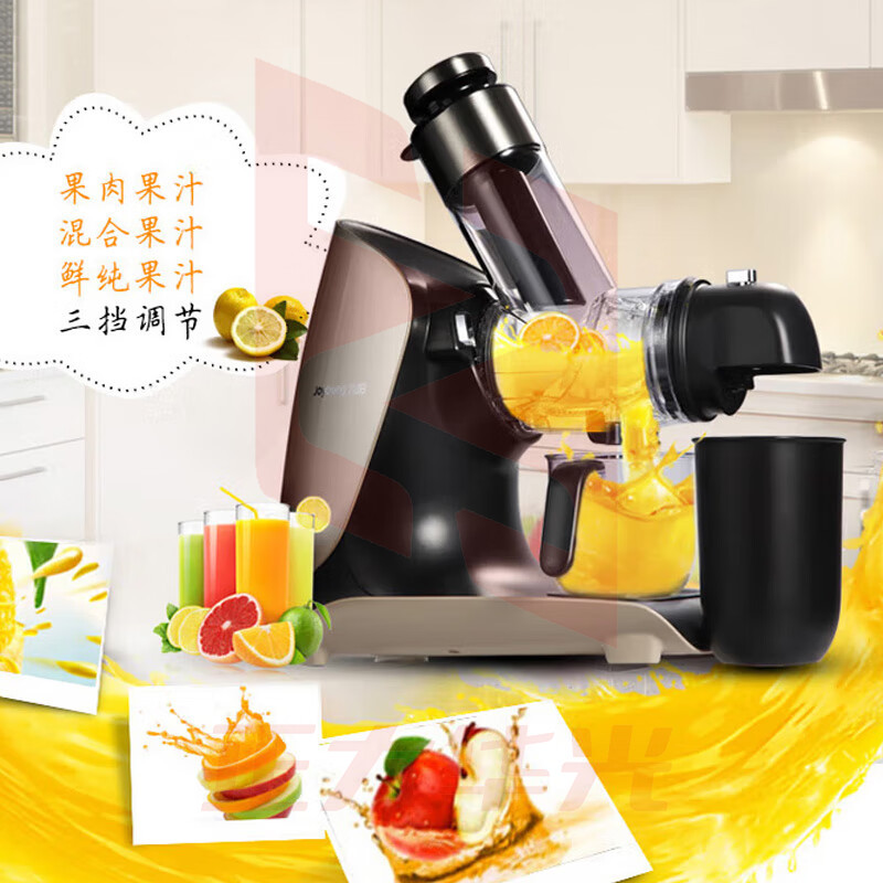 九阳(Joyoung)榨汁机 原汁机家用大口径多汁三档果肉果汁机 JYZ-E21C 香槟色 (XTGM202308111514414)