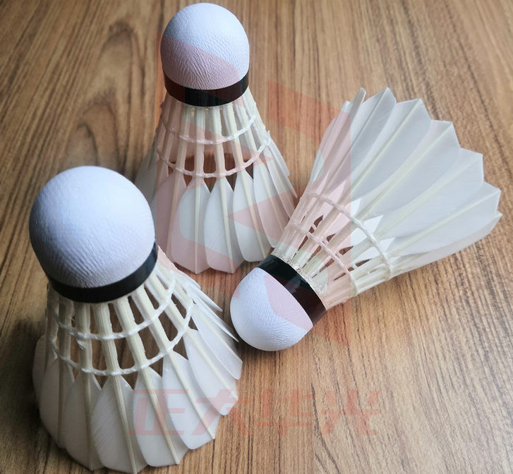 爱乒-银白二号	 羽毛球XTGM202303310829350