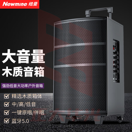 纽曼(Newmine)L23广场舞音响 8英寸木箱三分频喇叭大功率户外蓝牙音箱 无话筒XTGM202308161311208