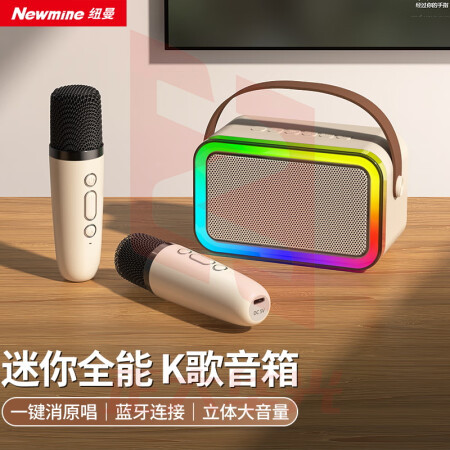 纽曼(Newmine)DP97无线蓝牙音箱家庭ktv音响套装户外大音量广场舞音响迷你手提便携式话筒K歌麦克风一体机 双麦+双喇叭+呼吸灯  XTGM202308161304347