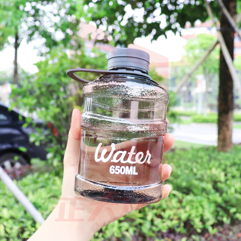 贝瑟斯(Beisesi) 迷你水桶创意运动水杯650ML (XTGM202308111443022