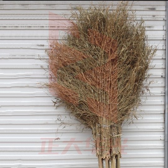 巨联(JULIAN)Z165 竹扫把 环卫扫把笤帚扫帚把扫马路竹扫把 竹扫帚大竹扫把 大竹扫把竹子 XTGM202303231348551