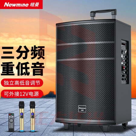 纽曼(Newmine)L66户外广场舞音响 15英寸移动便携式拉杆音箱 蓝牙三分频喇叭 双话筒+遥控器 XTGM202308161311197