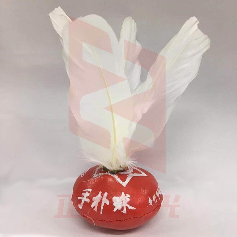 星体SPQ手扑球XTGM202303310844140