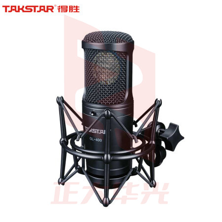 得胜(TAKSTAR)GL-400 旁述式录音电容麦克风 直播带货录音棚电台主持麦克风 专业电容话筒 黑色  XTGM202307181514087