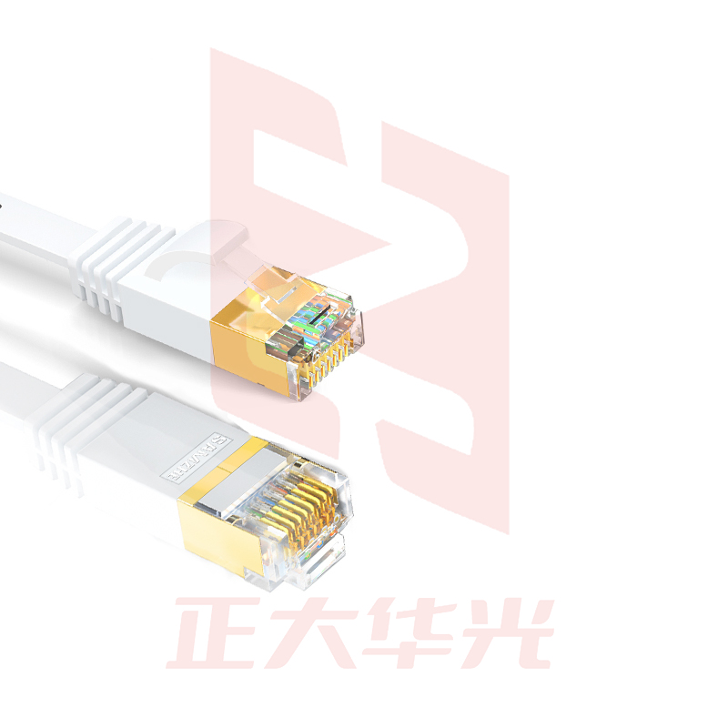 山泽(SAMZHE)CAT-710A七类扁平网线白色(镀金头)10米 (XTGM202307230820454)