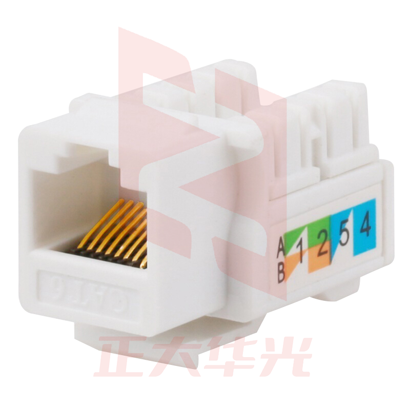 山泽(SAMZHE)WAN-06 六类网络模块 CAT6千兆网线插座面板模块 RJ45水晶头母座电脑网线镀金连接头 工程版 (XTGM2023072308233613)