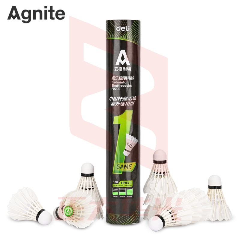 安格耐特F2202羽毛球(白色)(12个/筒)XTGM202303310931342