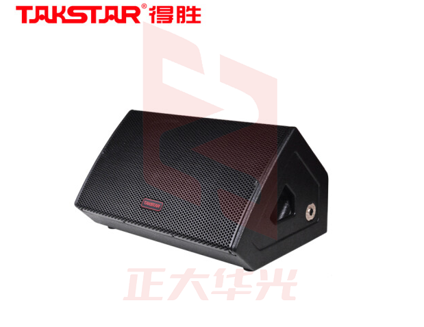 得胜(TAKSTAR)ELV-121M 专业舞台返听音箱 12吋低音音箱舞台返送场合使用   XTGM202307180812456