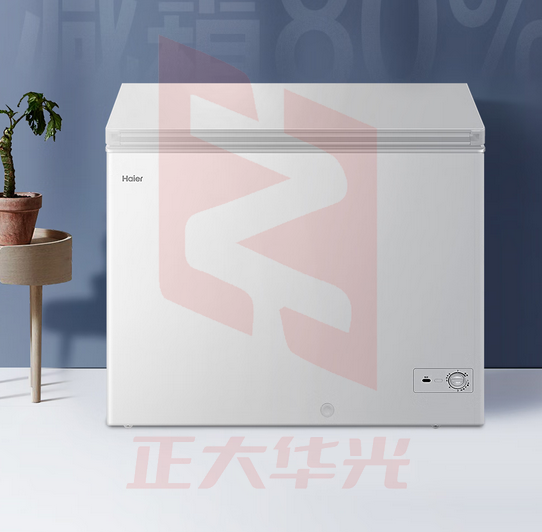 海尔(Haier)251升低霜卧式商用家用冰柜 商用大容量冷藏柜冷冻柜冰柜家用囤货小冰箱冷柜BC/BD-251HD (XTGM202308231119131)