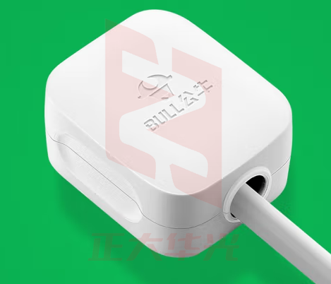 公牛(BULL)GNT-10 插座 10a插头3脚电源插头插座/无线   XTGM202302151233090