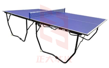 双鱼 309 单折式乒乓球台 球类设备XTGM202303311018373