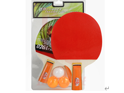 双鱼30814303500乒乓球拍XTGM202303310846060