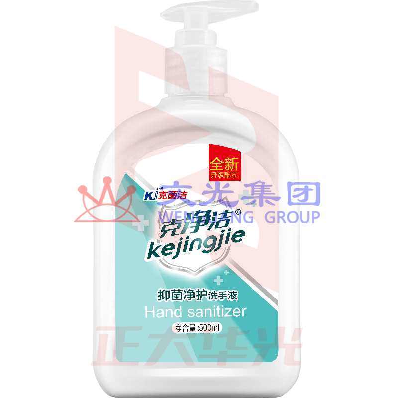 克菌洁 抑菌净护洗手液 500ml 单瓶价格 (24瓶/箱) )  XTGM202303270945438