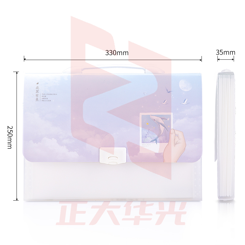 得力72570_13格风琴包(混)XTGM02241325573375