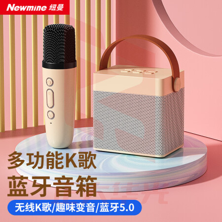 纽曼(Newmine)DP98无线蓝牙音箱家庭KTV音响套装户外广场舞音响迷你便携式K歌麦克风一体机桌面话筒小音响单麦版 (XTGM2023081613183210)