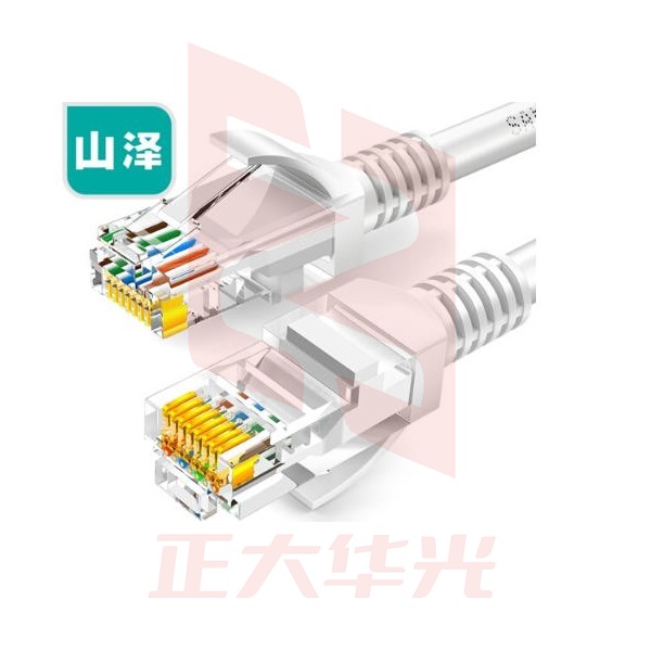 山泽(SAMZHE)超五类网线 CAT5e类高速百兆网线 15米 贝吉色 ZW-15(XTGM202307230813206)