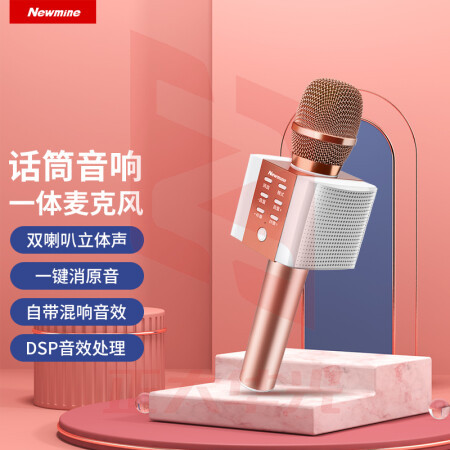 纽曼 (Newmine) MC10麦克风音响一体机自带声卡无线蓝牙话筒K歌家用KTV唱歌电容麦K歌宝 玫瑰金 (XTGM202308161317120)