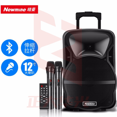 纽曼(Newmine)MN-182 12英寸广场舞音响 蓝牙拉杆音箱 带双话筒+遥控器XTGM2023081613112110